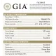 Platinum Vivi 0.93 ct Diamond Engagement Ring