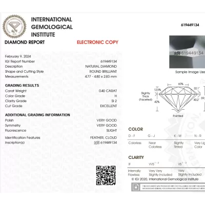 Klasika 0.80 ct Diamond Earrings